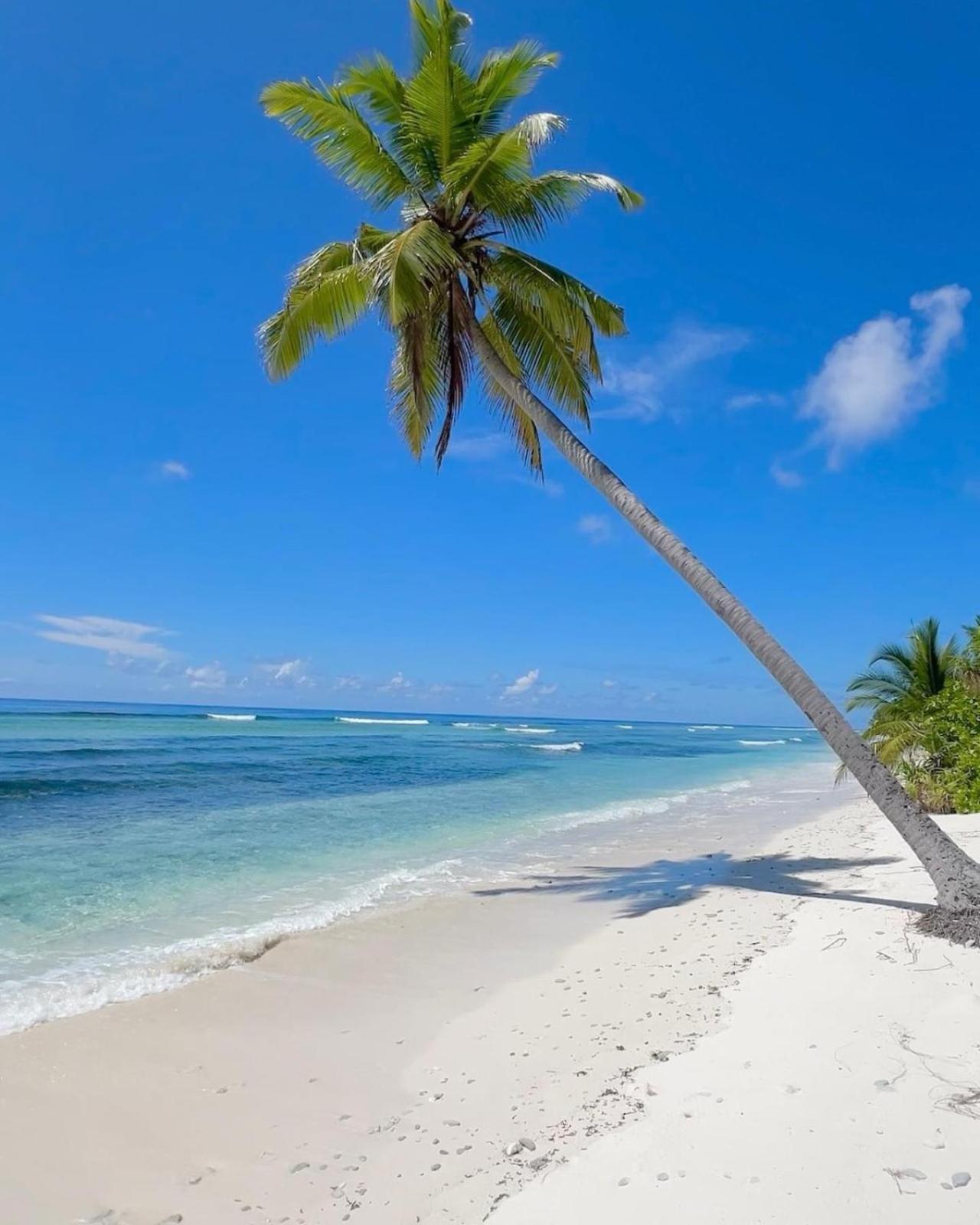 Charming Holiday Lodge- Addu Atoll Meedhoo, Maldives Eksteriør billede