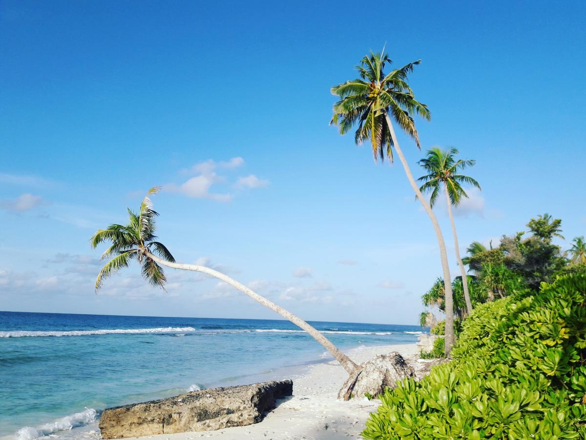 Charming Holiday Lodge- Addu Atoll Meedhoo, Maldives Eksteriør billede