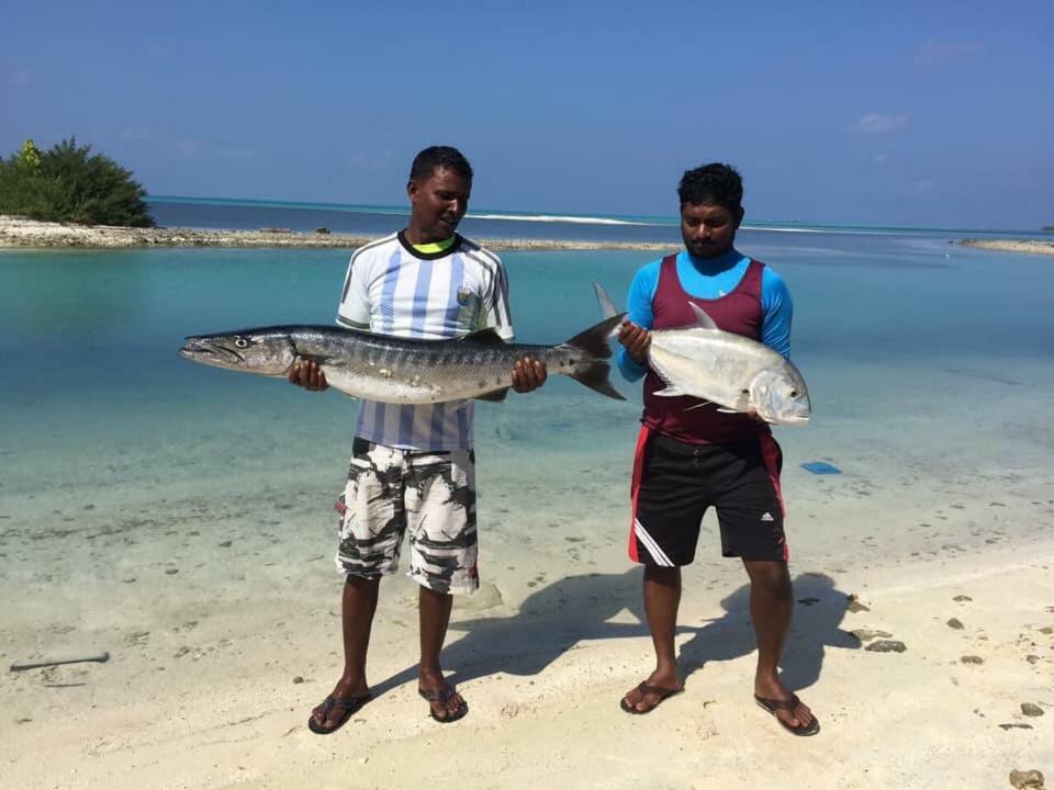 Charming Holiday Lodge- Addu Atoll Meedhoo, Maldives Eksteriør billede